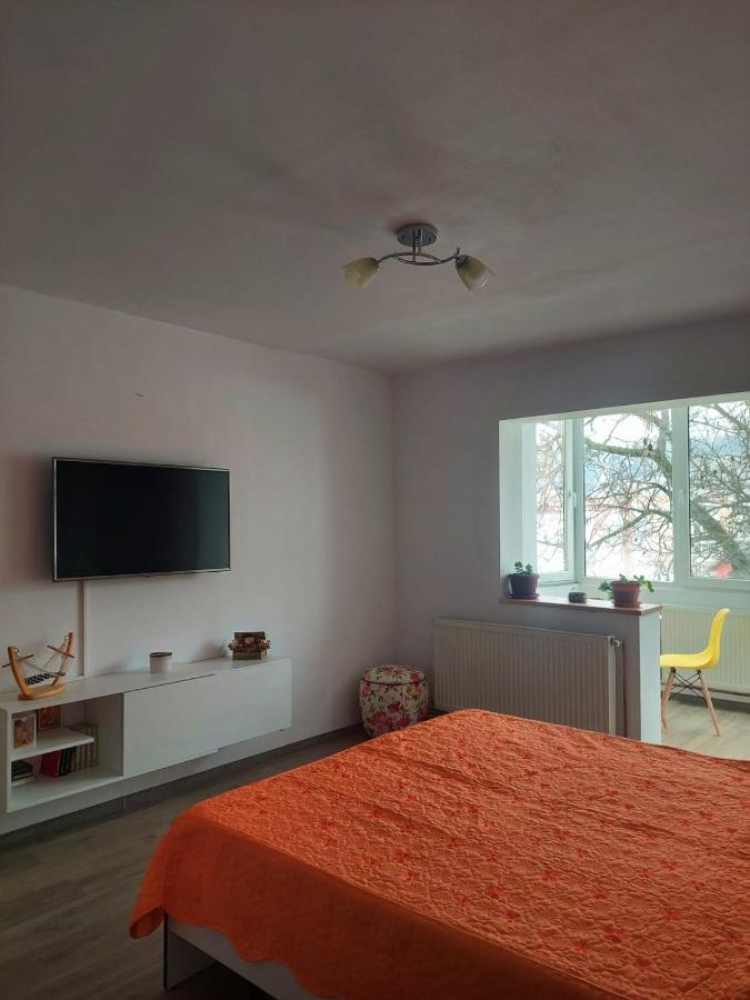 Apartament Spatios In Brasov Braşov Exterior foto